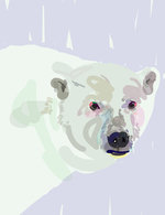 Polar 150 101x84x1208x1570 q85