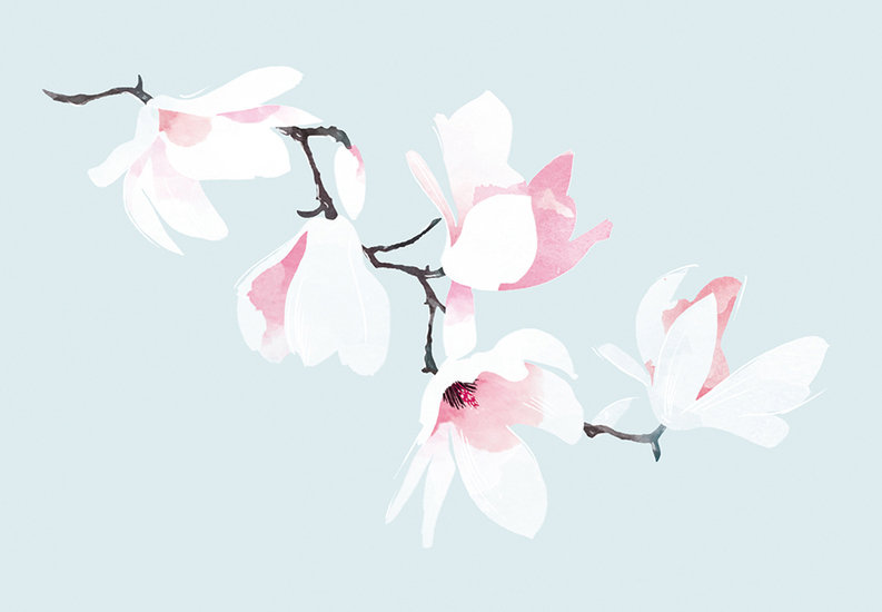 Magnolia blossom 793 xxx q85