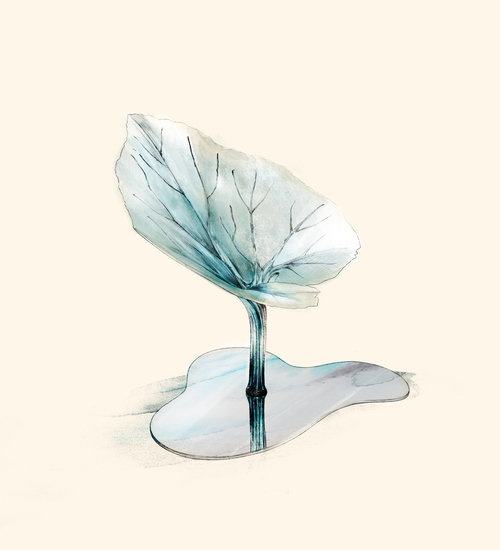 Andreasalvetti 500 xxx q85