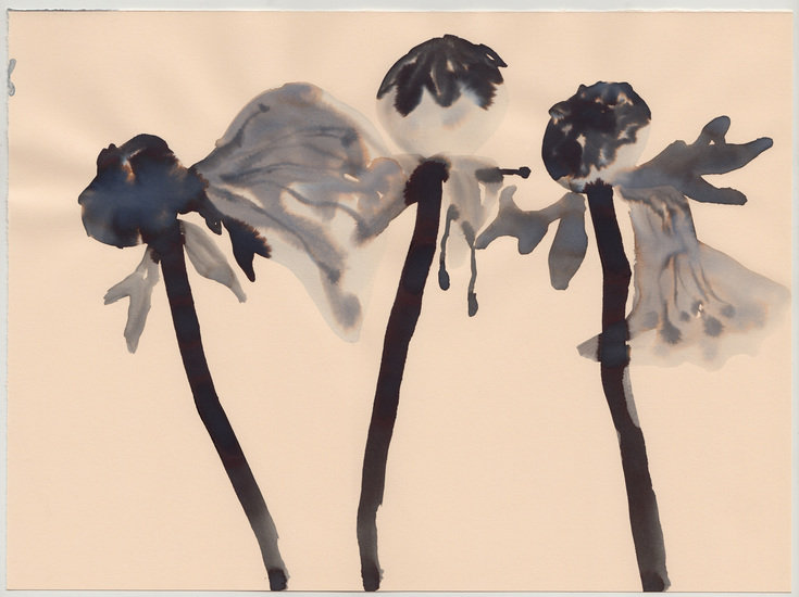 After irving01 735 xxx q85