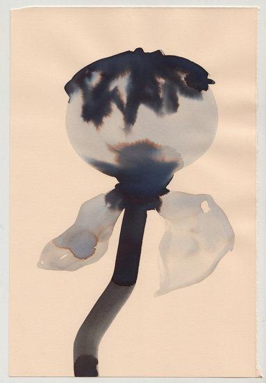 After irving06 383 xxx q85