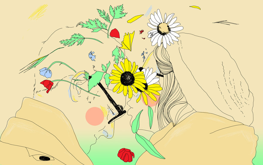 Nolting 35 876 xxx q85