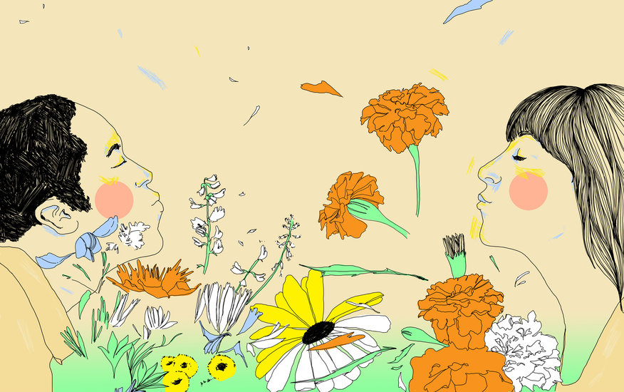 Nolting 36 876 xxx q85