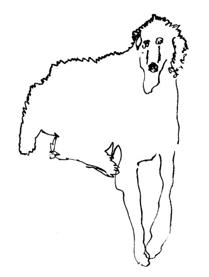 Neborsky044 416 xxx q85