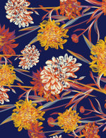 Indigored 150 0x208x3504x4555 q85