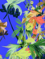 Jungle 150 2263x0x2696x3507 q85