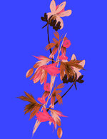 Yves 150 0x49x876x1141 q85