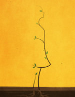 29 150 0x76x1365x1773 q85