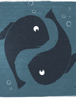 33 150 231x0x1538x1999 q85