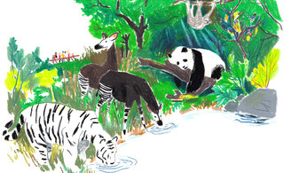 63 zoo 320 0x87x1996x1216 q85