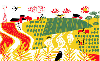 Kf lagoa 1 320 84x14x2080x1267 q85