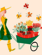 Kf9 150 57x0x225x292 q85