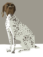 Rex 150 300x50x1462x1900 q85