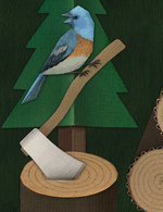 25wood2 150 0x0x768x999 q85