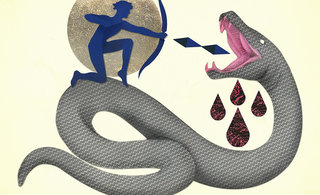 19personal python 320 0x87x998x608 q85