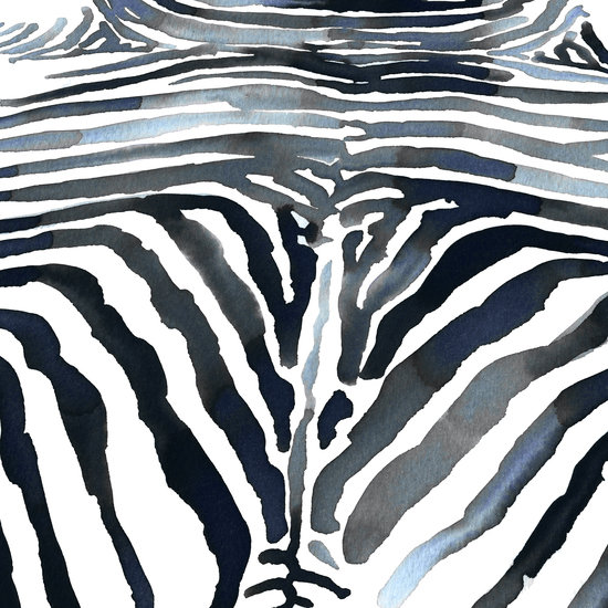 Animal print zebra 550 xxx q85