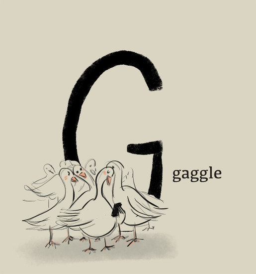 Alphabet gaggle 515 xxx q85