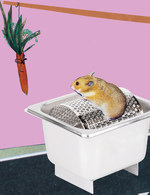 015portfolioupdate 150 212x0x1320x1716 q85