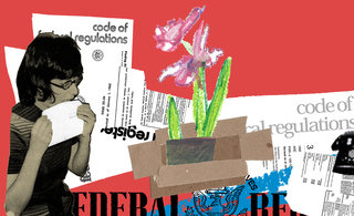 021portfolioupdate 320 0x0x1137x693 q85