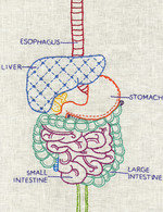 55 150 0x9x1527x1985 q85