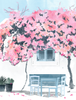 Screen shot 2017 11 28 at 4.49.52 pm 150 115x0x580x754 q85