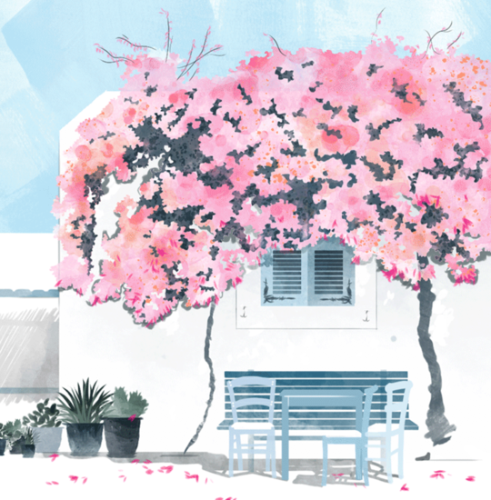 Screen shot 2017 11 28 at 4.49.52 pm 540 xxx q85