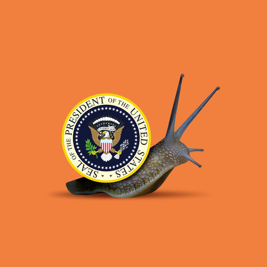 Ben wiseman trump snail 550 xxx q85