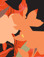 11 shopbop 150 0x50x1460x1899 q85