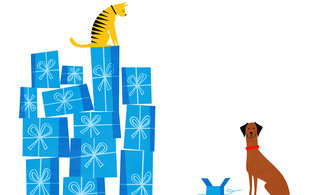 Kf ansons dogandcat 320 0x137x2591x1578 q85