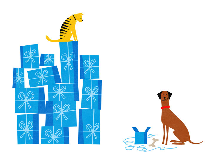 Kf ansons dogandcat 714 xxx q85