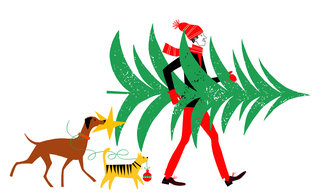 Kf mransons xmastree final1 320 0x58x3104x1893 q85