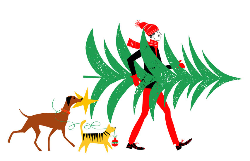 Kf mransons xmastree final1 854 xxx q85