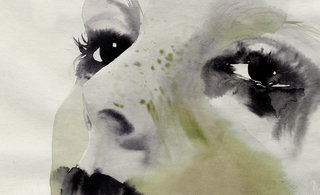 28 cecilia carlstedt 320 0x75x1999x1218 q85