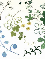 Ah 7 150 77x0x512x666 q85