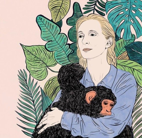 Ah jane goodall 565 xxx q85
