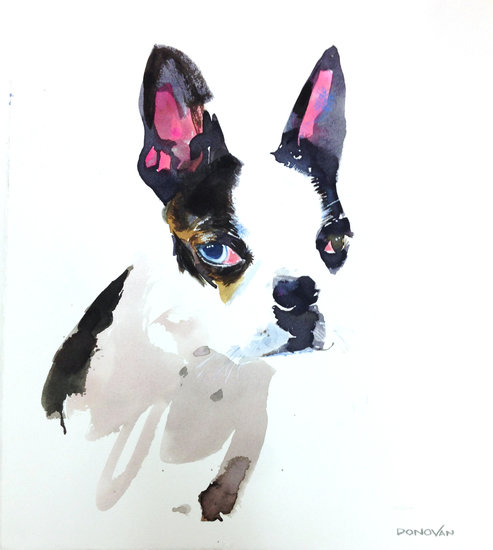 Bettybeauty 493 xxx q85