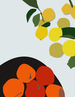 Kk38 1 150 30x0x686x892 q85