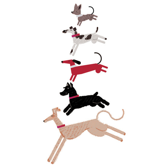 Galgos 01 550 xxx q85