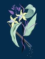 Bl13 150 0x101x1358x1766 q85