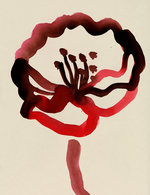 Cc13 150 0x0x563x732 q85