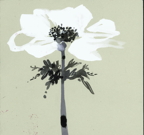 Flower ad1 583 xxx q85