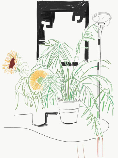 Sunflower 2017 abriens 413 xxx q85