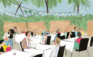 Pstropicaleid 320 0x137x1999x1220 q85