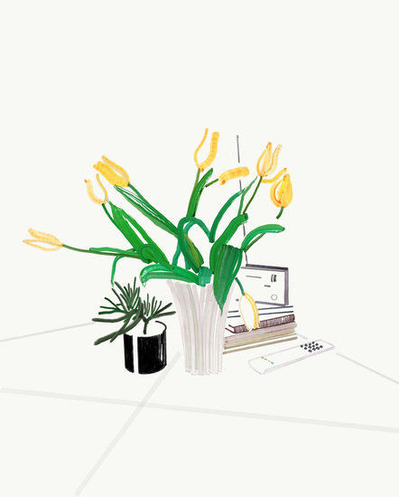 Stillife 442 xxx q85