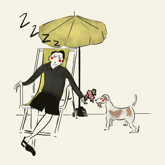 Dreydenriviera 550 xxx q85