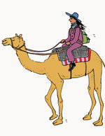 Camel 150 118x0x1455x1891 q85