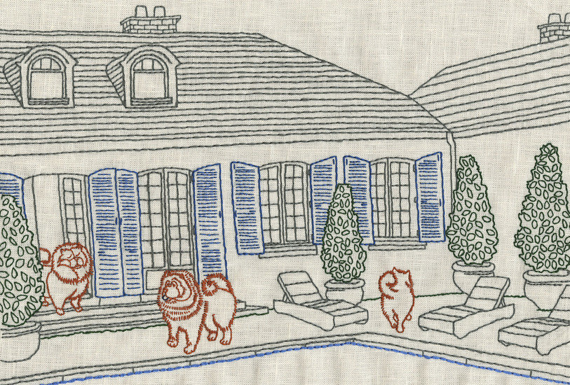 Chowchow 813 xxx q85