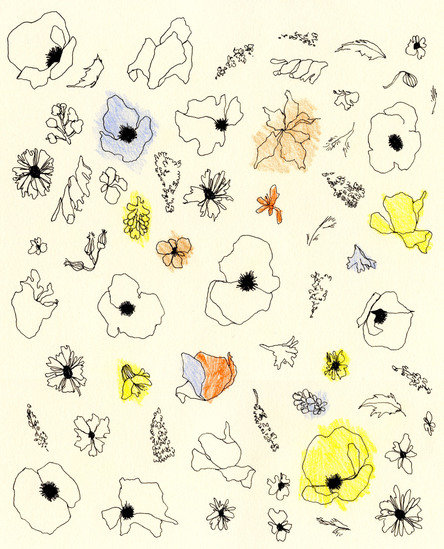 Mia pattern floral 2 444 xxx q85