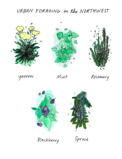 Mia portland outsider foraging 425 xxx q85