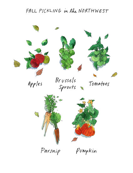 Mia portland outsider pickling 425 xxx q85